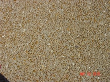 C Gravel